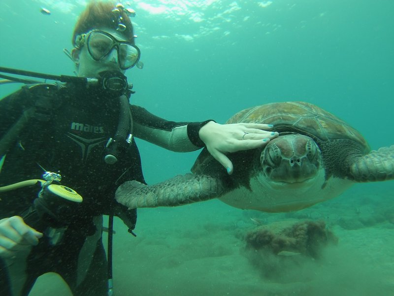 Diving spots in Tenerife Diving Atlantis