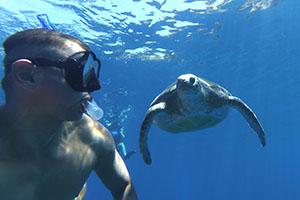 Snorkeling with turtles