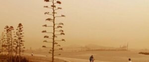 Why Is It So Hot?? – It's Kalima!