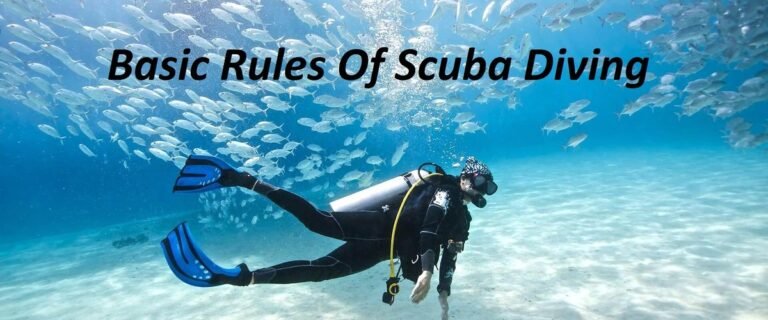 Main Rules Of Scuba Diving For Beginners