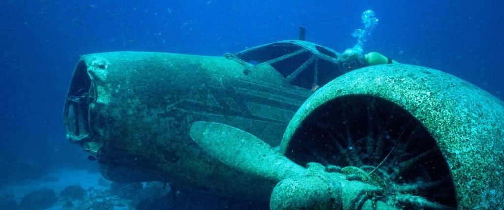 Padi Specialties Essential To Any Certified Diver