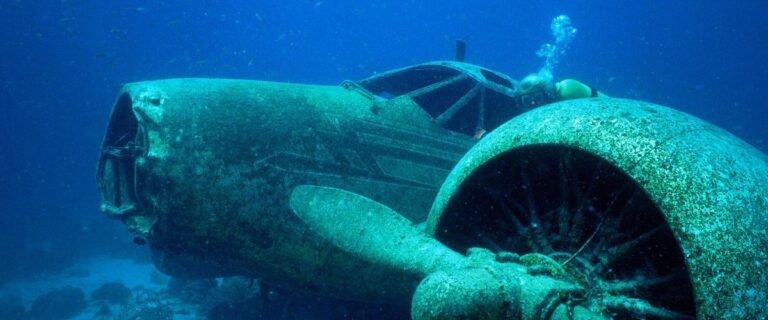 Padi Specialties Essential To Any Certified Diver