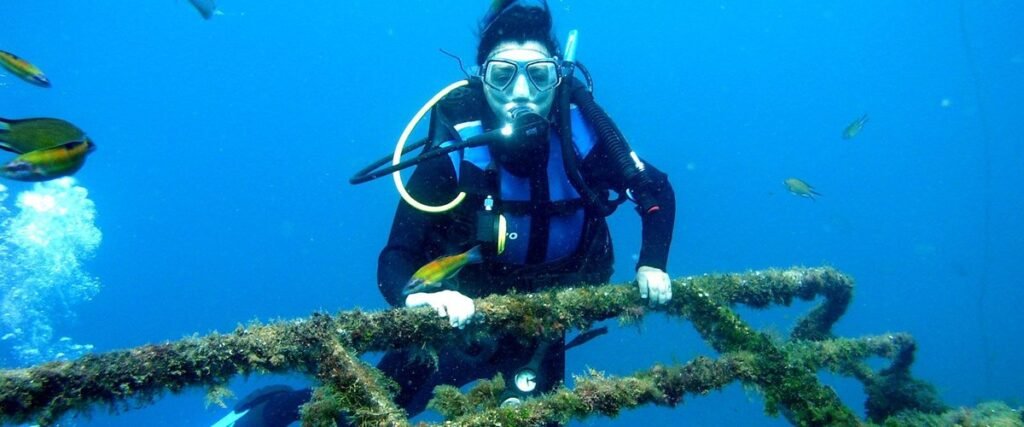 Six Reasons Why To Become A Certified Padi Open Water Diver
