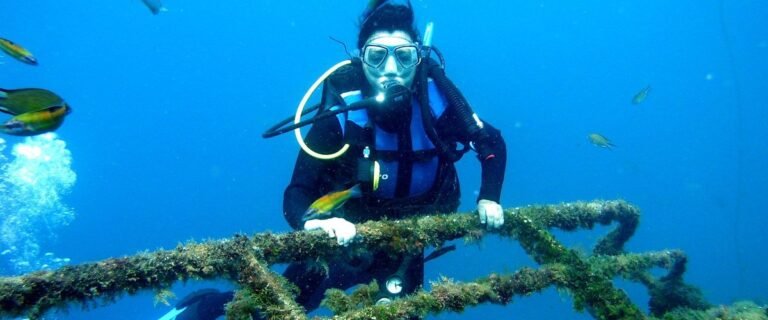 Six Reasons Why To Become A Certified Padi Open Water Diver