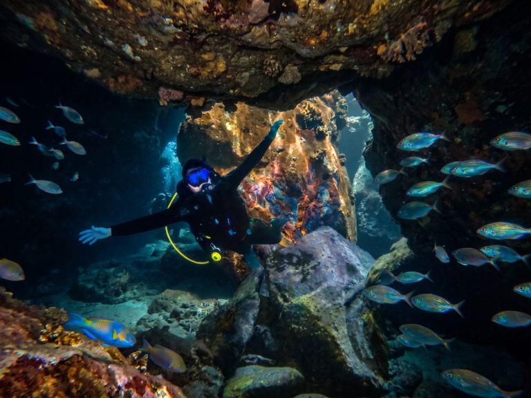 el valito dive site a a diver in a huge cave, encounter with a school of fish. On a dive pack with diving atlantis