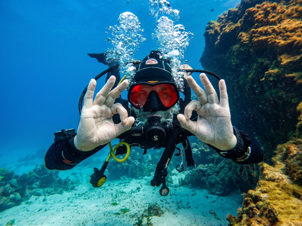 Divemaster course
